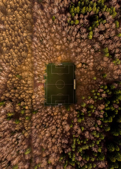 الدوري الألماني الدرجة الثانية مباشركل ما تحتاج إلى معرفته