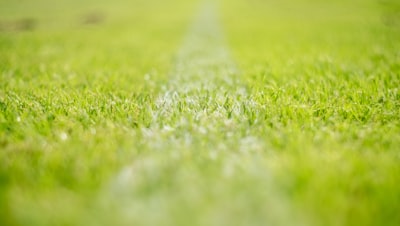 نتائج مباريات اليوم للأهلي والزمالكأحدث التحديثات والتفاصيل الكاملة نتائج مباريات اليوم للأهلي والزمالكأحدث التحديثات والتفاصيل الكاملة