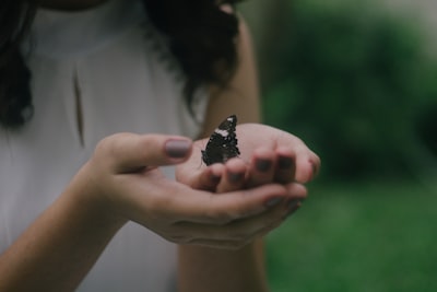نتيجة مباراة الأرجنتين وفرنسا في الأولمبياد نتيجة مباراة الأرجنتين وفرنسا في الأولمبياد